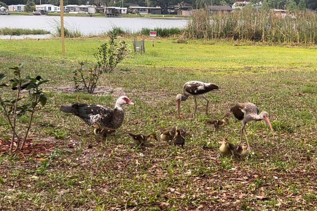 Lakeside Retreat - 3 Bedroom, 2 Bathroom House By The Lake Lakeland Extérieur photo